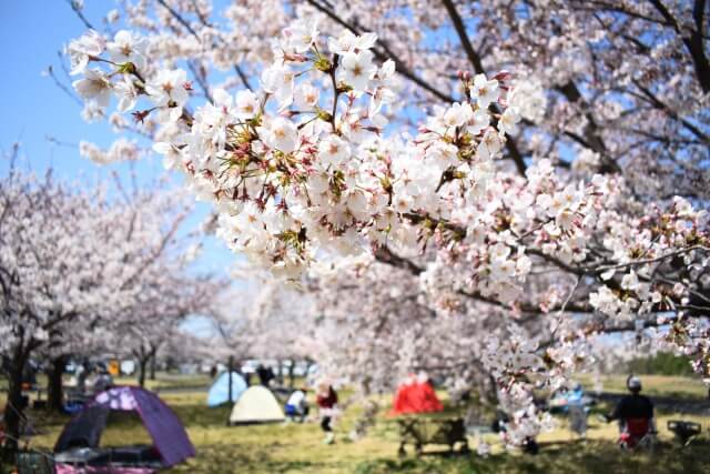 春BBQで旬の食材を楽しもう！
