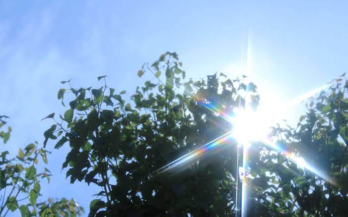 ＢＢＱをクールに楽しむ暑さ対策！