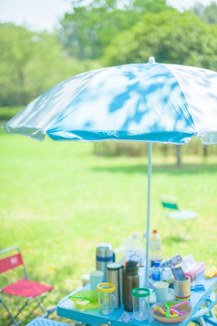 2019年徹底解説！淀川河川公園西中島地区BBQ利用情報