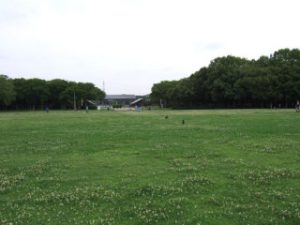大芝生広場
