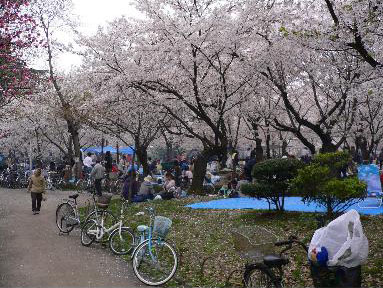 住吉公園バーベキューエリア完全ガイド【2026年最新】